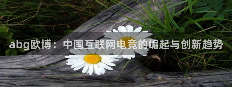 k8凯发科技赋能,让平台更有趣：abg欧博：中国互联网电竞的崛起与创新趋势