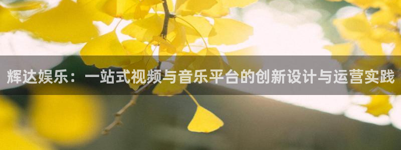 壹号平台娱乐：辉达娱乐：一站式视频与音乐平台的创新设计与运营实践