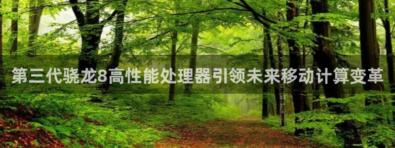 k8凯发下载地址：第三代骁龙8高性能处理器引领未来移动计算变革