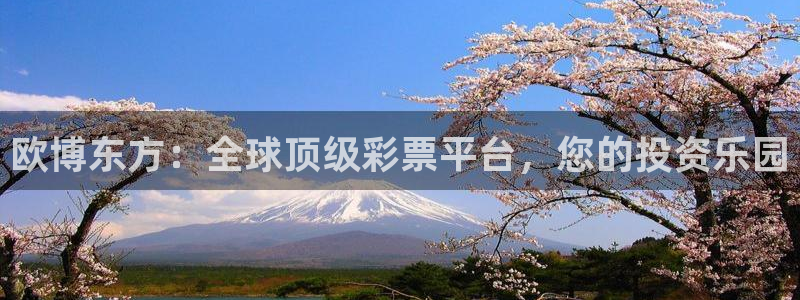 k8凯发游戏试玩：欧博东方：全球顶级彩票平台，您的投资乐园