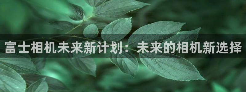 凯发平台注册：富士相机未来新计划：未来的相机新选择