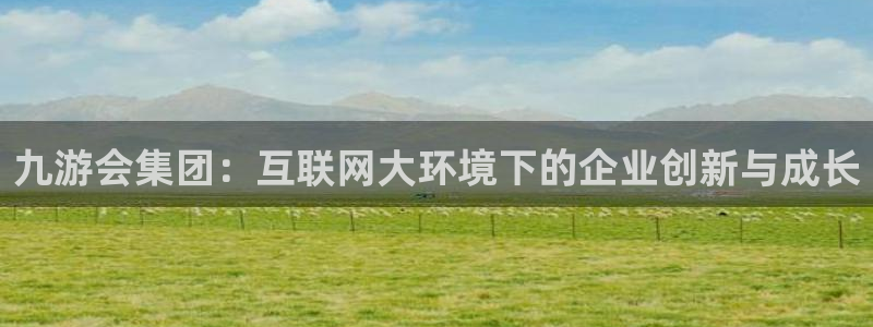 凯发纺织：九游会集团：互联网大环境下的企业创新与成长