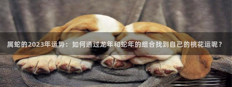 壹号官方app下载安装：属蛇的2023年运势：如何通过龙年和蛇年的组合找到自己的桃花运呢？