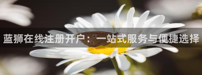 凯发调料：蓝狮在线注册开户：一站式服务与便捷选择