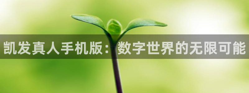 k8凯发版官网：凯发真人手机版：数字世界的无限可能