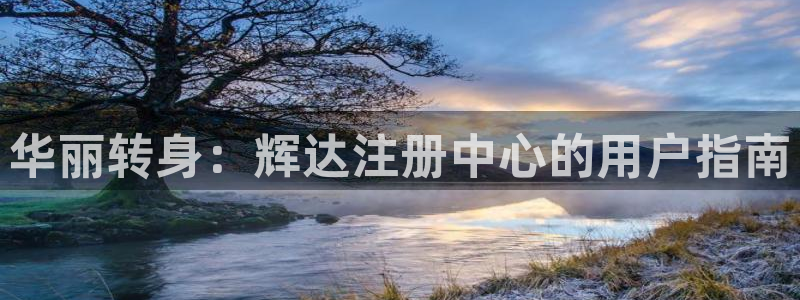 300407凯发电气：华丽转身：辉达注册中心的用户指南