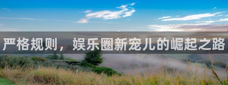 凯发k8官凯发k8官网：严格规则，娱乐圈新宠儿的崛起之路