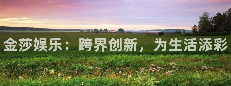 电子游戏k8凯发：金莎娱乐：跨界创新，为生活添彩