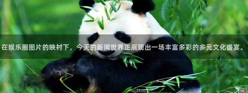 凯发调料：在娱乐圈图片的映衬下，今天的新闻世界正展现出一场丰富多彩的多元文化盛宴。