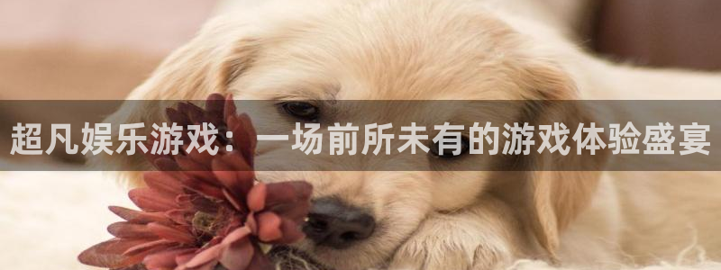 k8凯发强制退款流程详解：超凡娱乐游戏：一场前所未有的游戏体验盛宴