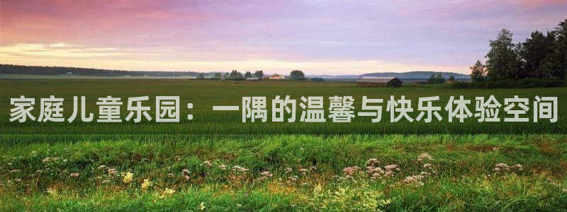 k8凯发.ccmpc29官网版下载：家庭儿童乐园：一隅的温馨与快乐体验空间
