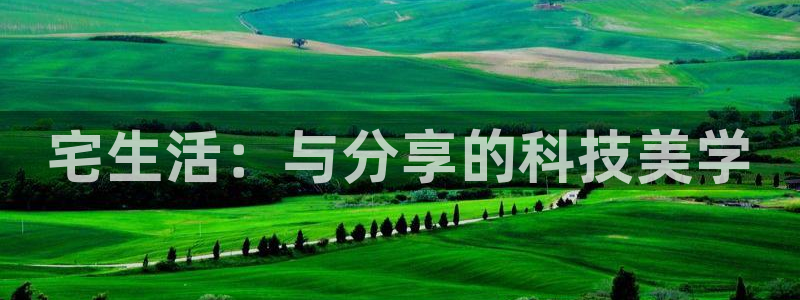 电子游戏k8凯发：宅生活：与分享的科技美学