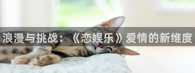k8凯发注册：浪漫与挑战：《恋娱乐》爱情的新维度